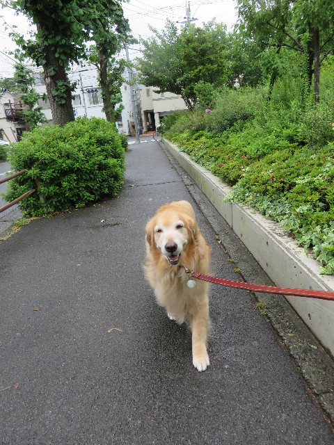 ファイル 4358-5.jpg