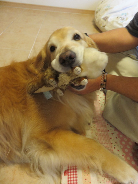 ファイル 4359-2.jpg