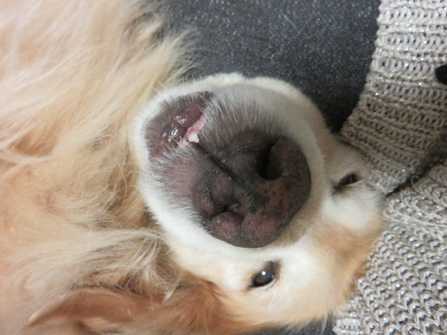 ファイル 4359-3.jpg