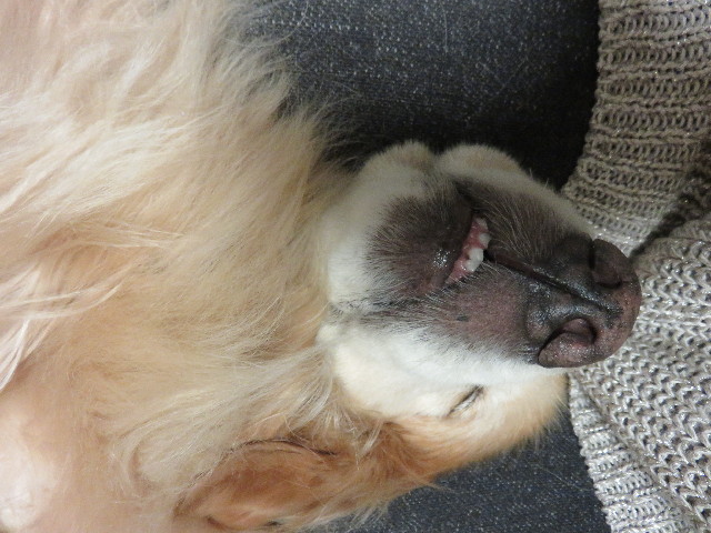 ファイル 4359-4.jpg