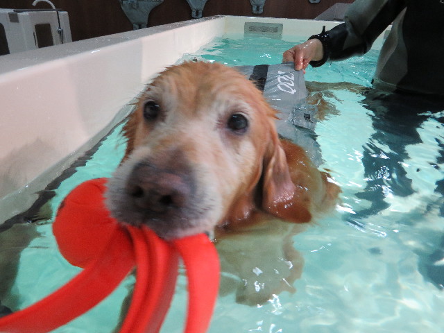 ファイル 4363-2.jpg