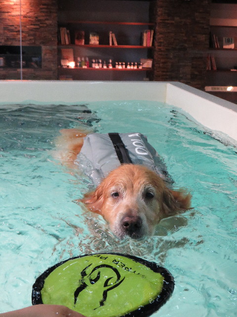 ファイル 4363-3.jpg