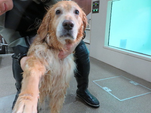 ファイル 4363-4.jpg