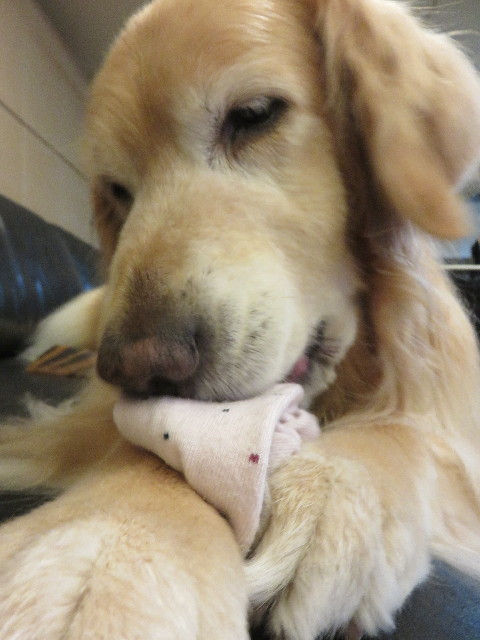 ファイル 4365-2.jpg