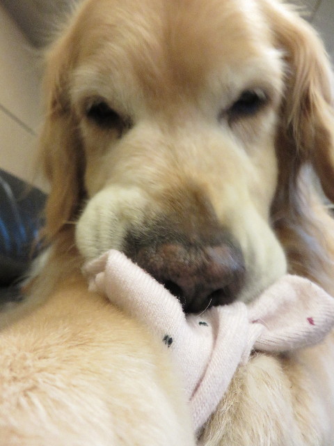 ファイル 4365-3.jpg