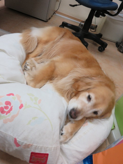 ファイル 4366-4.jpg