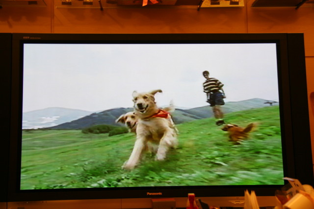 ファイル 437-3.jpg