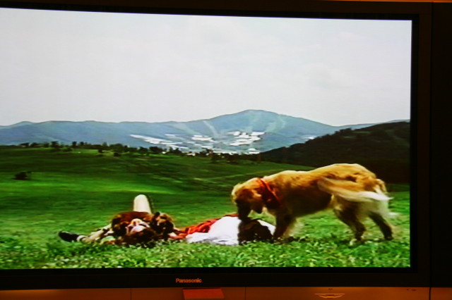 ファイル 437-4.jpg