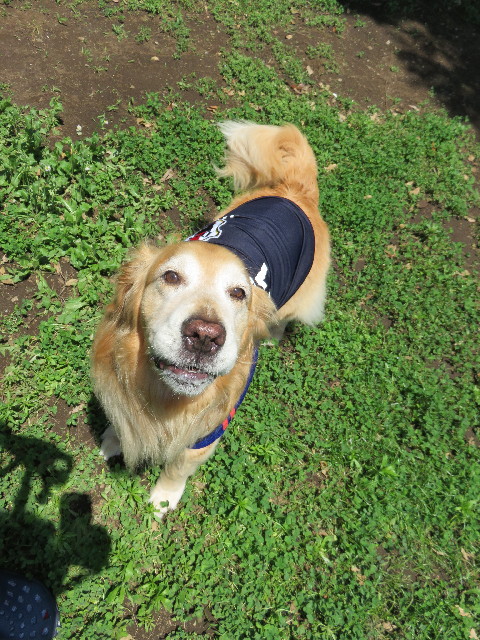 ファイル 4370-4.jpg