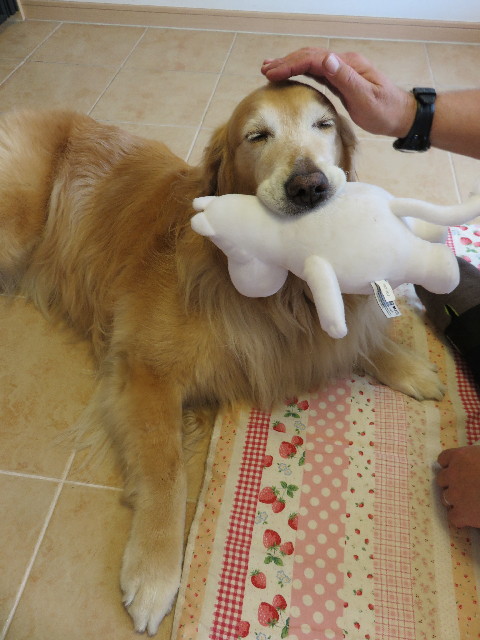 ファイル 4371-1.jpg