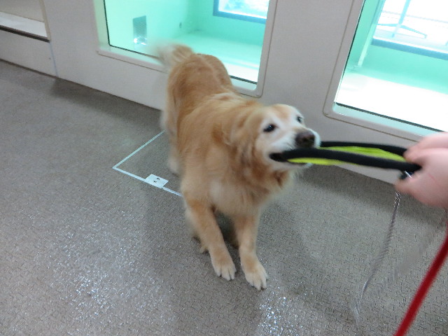 ファイル 4371-3.jpg