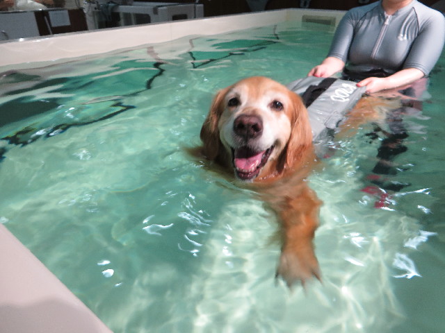 ファイル 4371-4.jpg