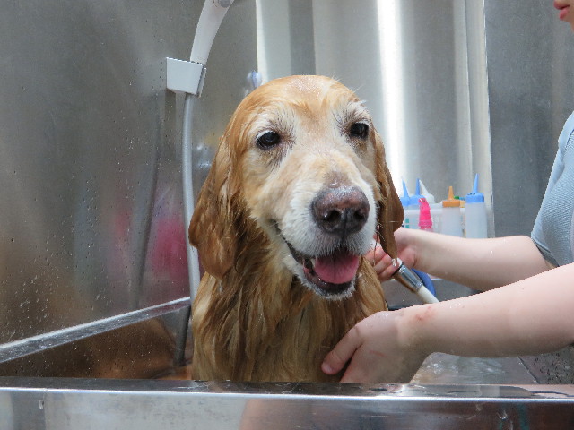 ファイル 4371-5.jpg