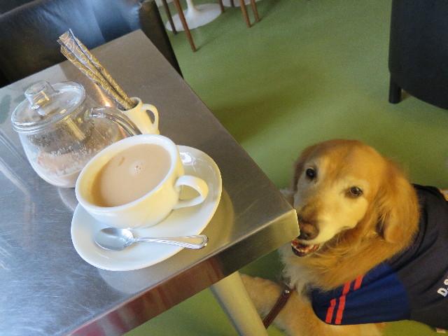 ファイル 4373-2.jpg