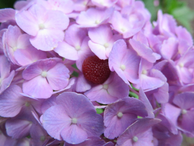 ファイル 4373-5.jpg