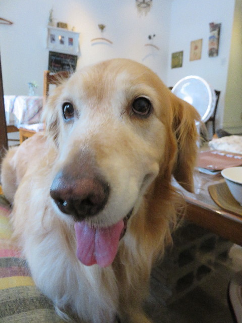 ファイル 4374-3.jpg