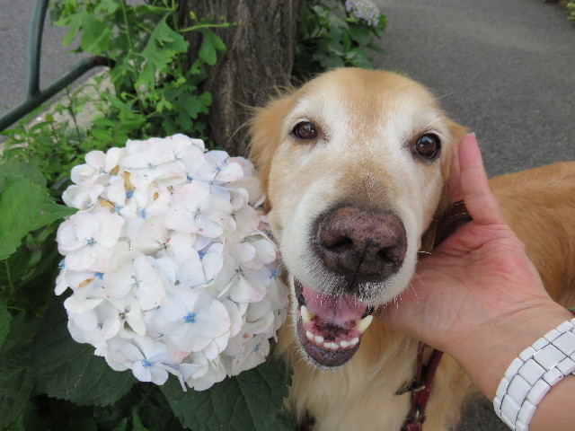 ファイル 4374-4.jpg