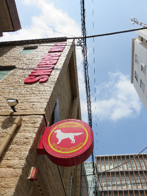 ファイル 4377-1.jpg