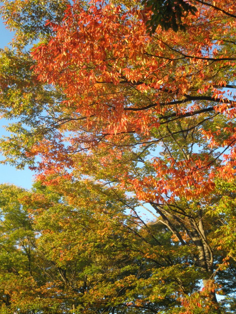 ファイル 438-1.jpg