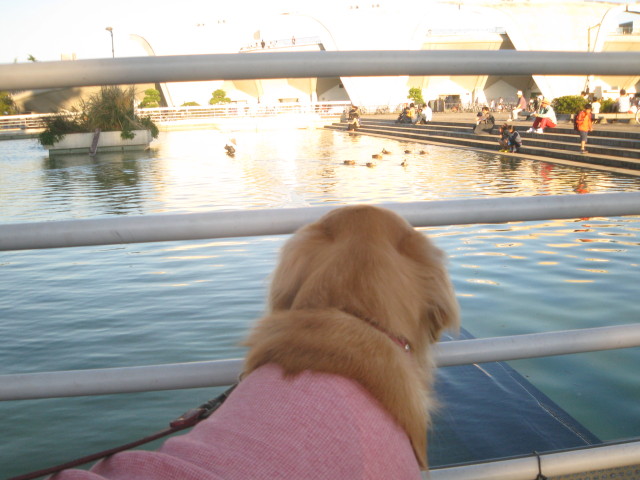 ファイル 438-3.jpg