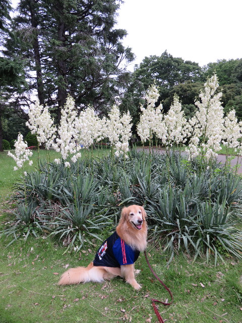 ファイル 4380-5.jpg