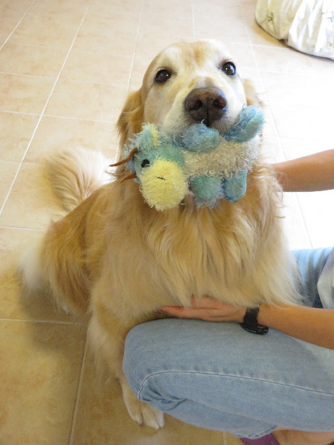 ファイル 4381-4.jpg