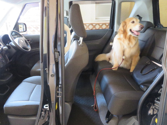 ファイル 4381-5.jpg