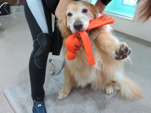 ファイル 4383-2.jpg