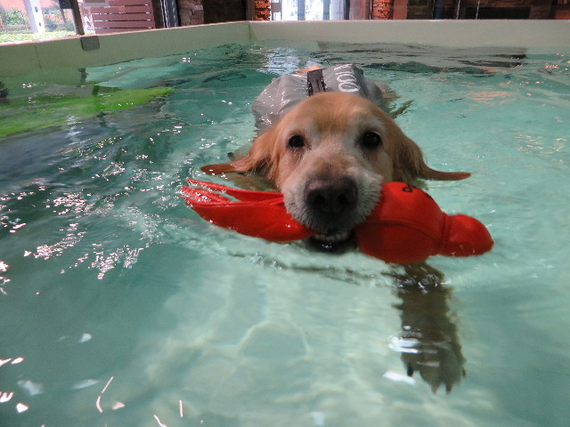 ファイル 4383-3.jpg