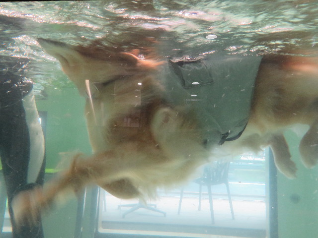 ファイル 4383-4.jpg