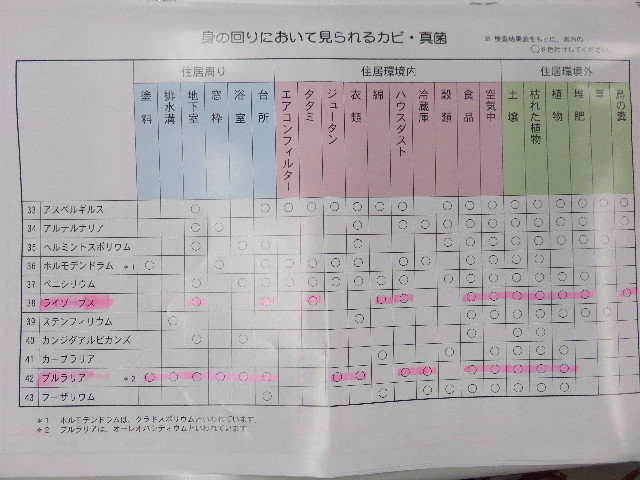 ファイル 4385-2.jpg