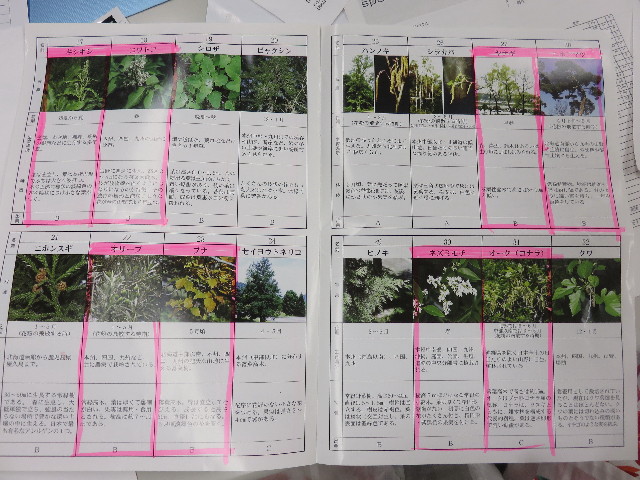 ファイル 4385-4.jpg