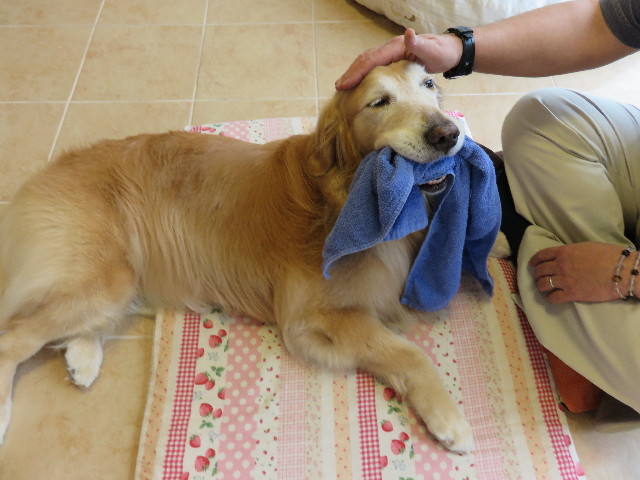 ファイル 4385-5.jpg