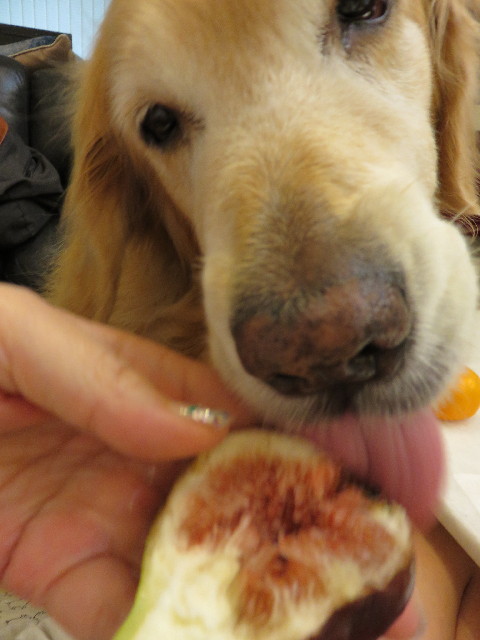 ファイル 4386-5.jpg