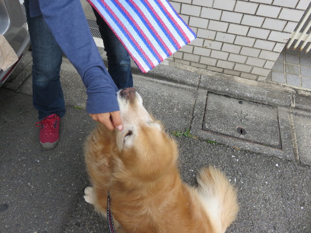 ファイル 4389-4.jpg