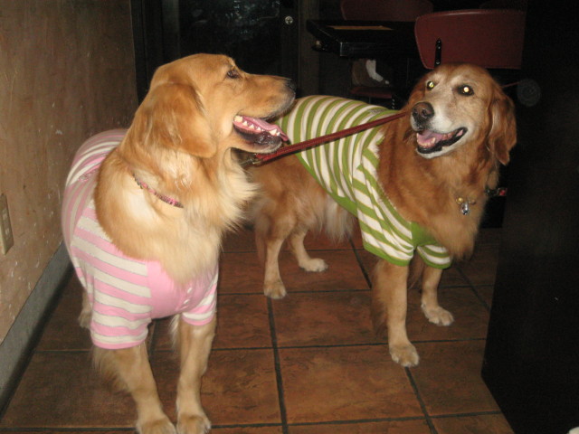 ファイル 439-1.jpg