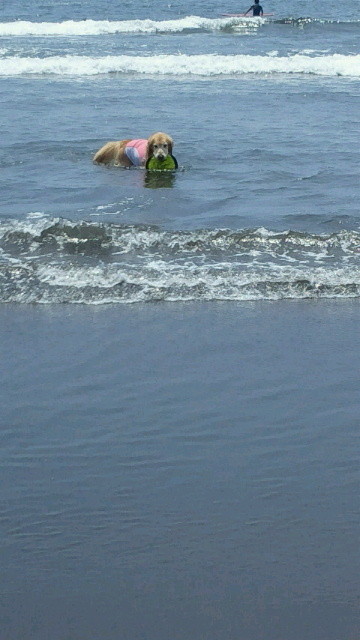 ファイル 4390-3.jpg