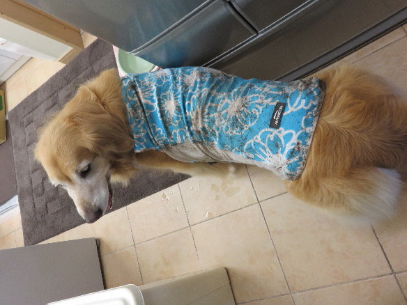 ファイル 4391-5.jpg