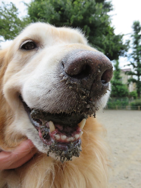 ファイル 4392-1.jpg