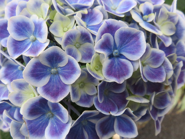 ファイル 4395-2.jpg