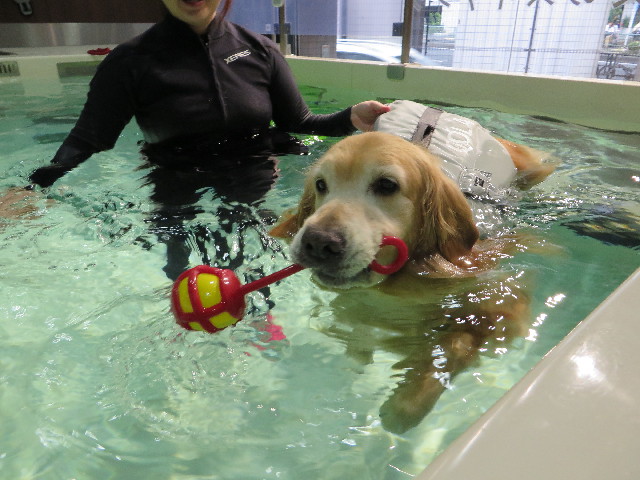 ファイル 4396-4.jpg