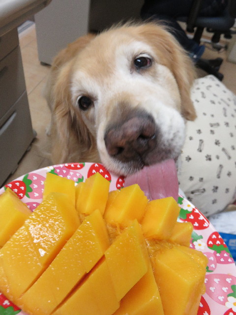 ファイル 4397-4.jpg