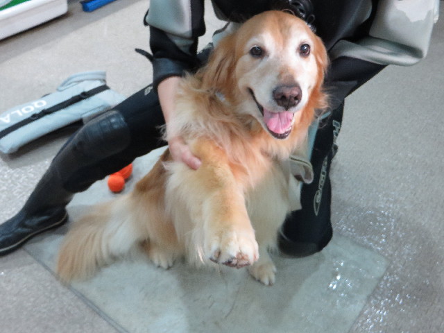 ファイル 4399-2.jpg