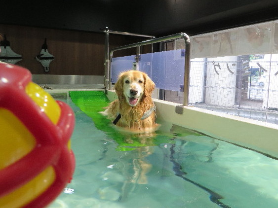 ファイル 4399-4.jpg