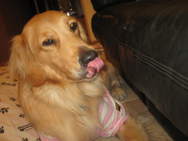 ファイル 440-5.jpg