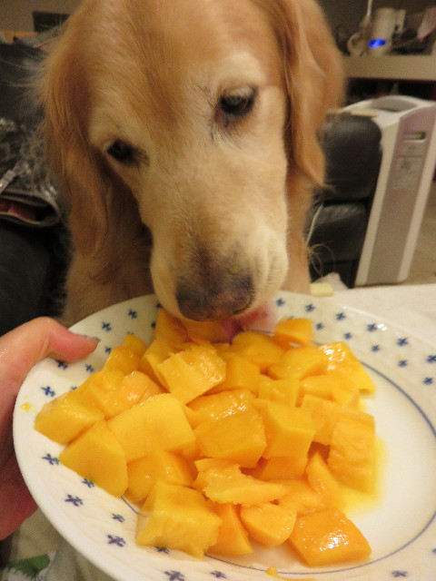 ファイル 4404-1.jpg