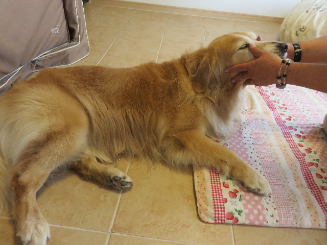 ファイル 4404-3.jpg