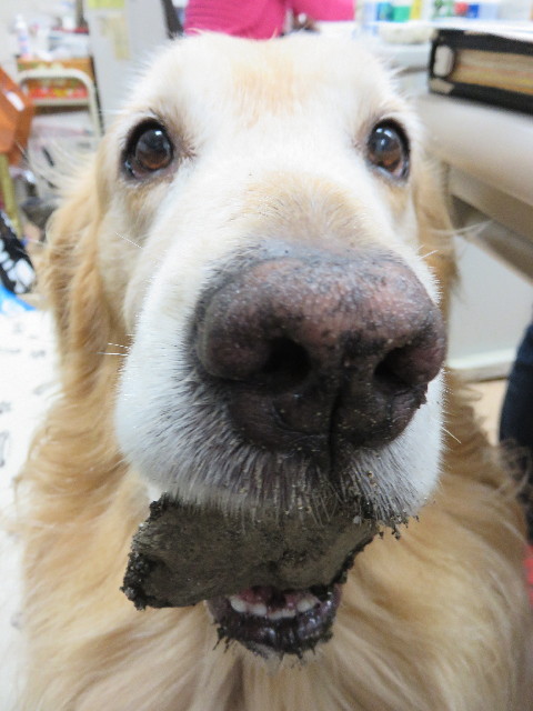 ファイル 4404-5.jpg