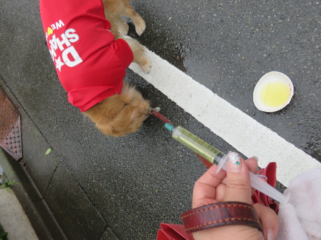 ファイル 4405-1.jpg