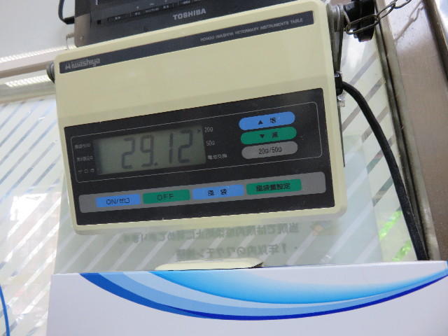 ファイル 4405-2.jpg